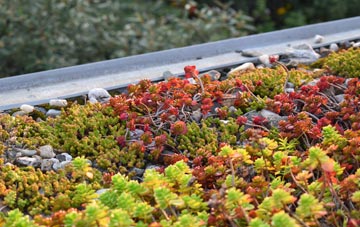 the cost of Great Blencow green roof installation