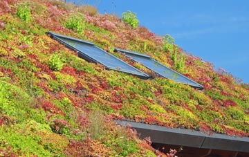 Great Blencow living roof systems