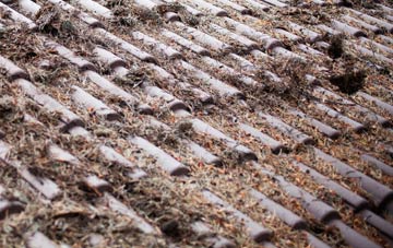 Great Blencow roof cleaning companies