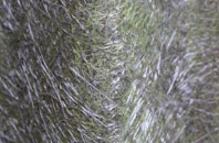 Great Blencow fibreglass roof work